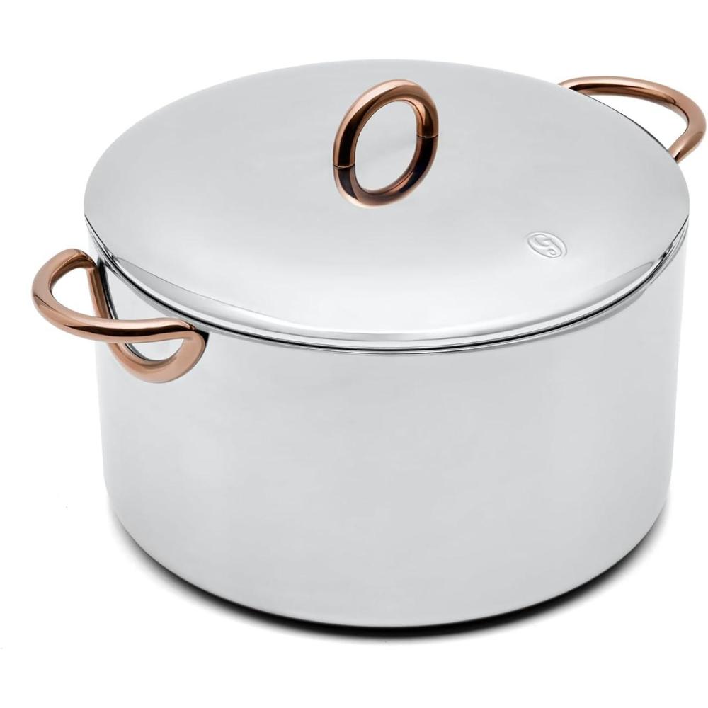 imageGreat Jones Big Deal 8Quart Stainless Steel Stock Pot With Lid Induction ampamp Oven Safe Dishwasher Friendly Fully Clad for Even Heating Oversized Welded Handles8 Quarts